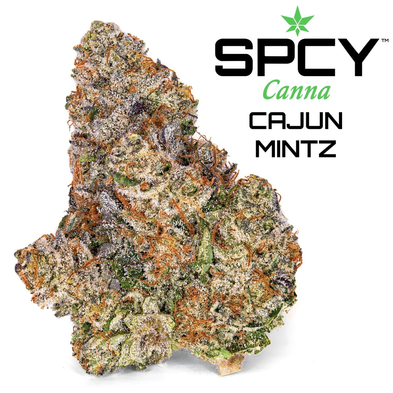 Cajun Mintz