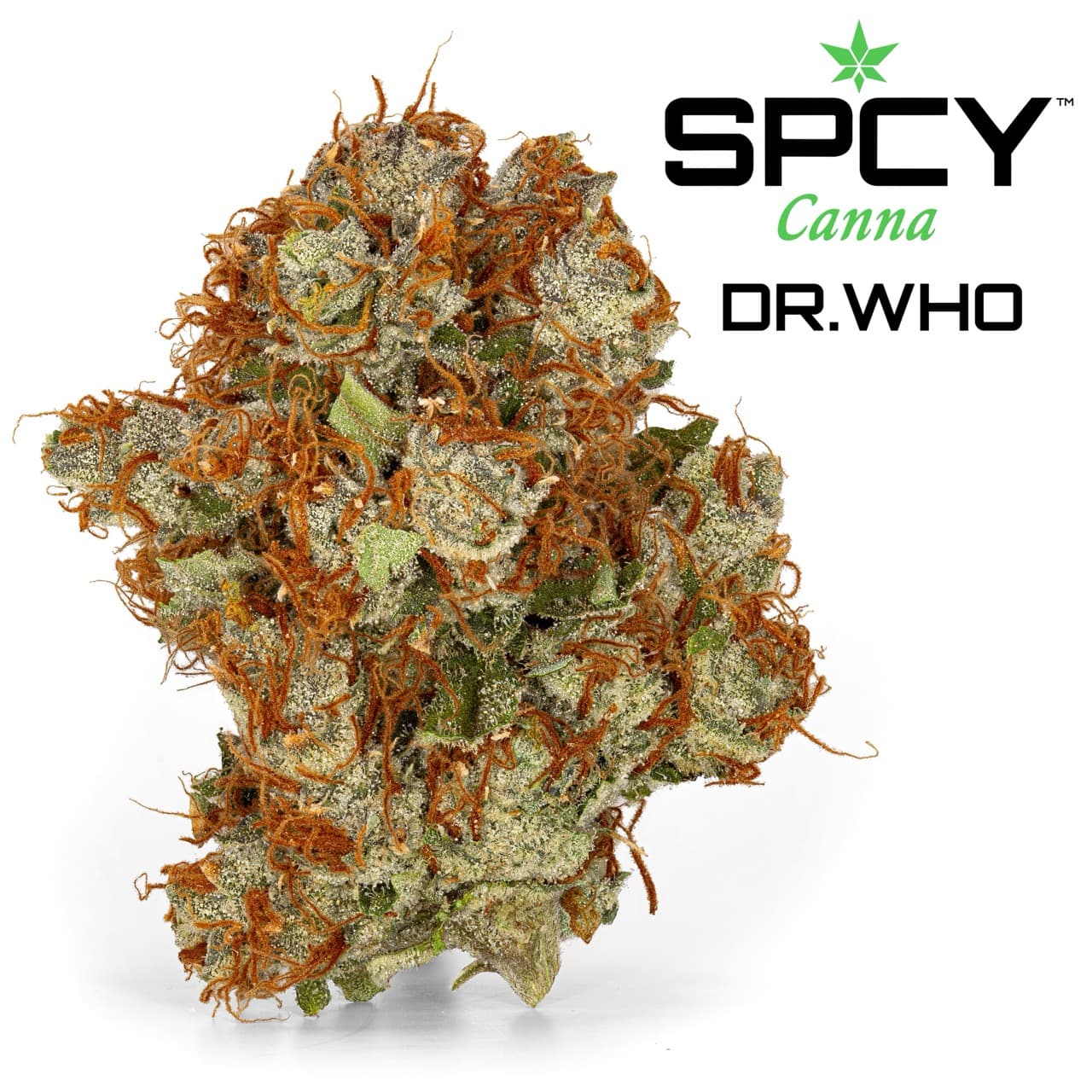 Dr.Who